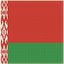 Bandera de tela de Bielorrusia para colgar en la pared