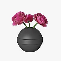Ranunculus 01