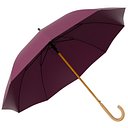 Umbrella 01 f