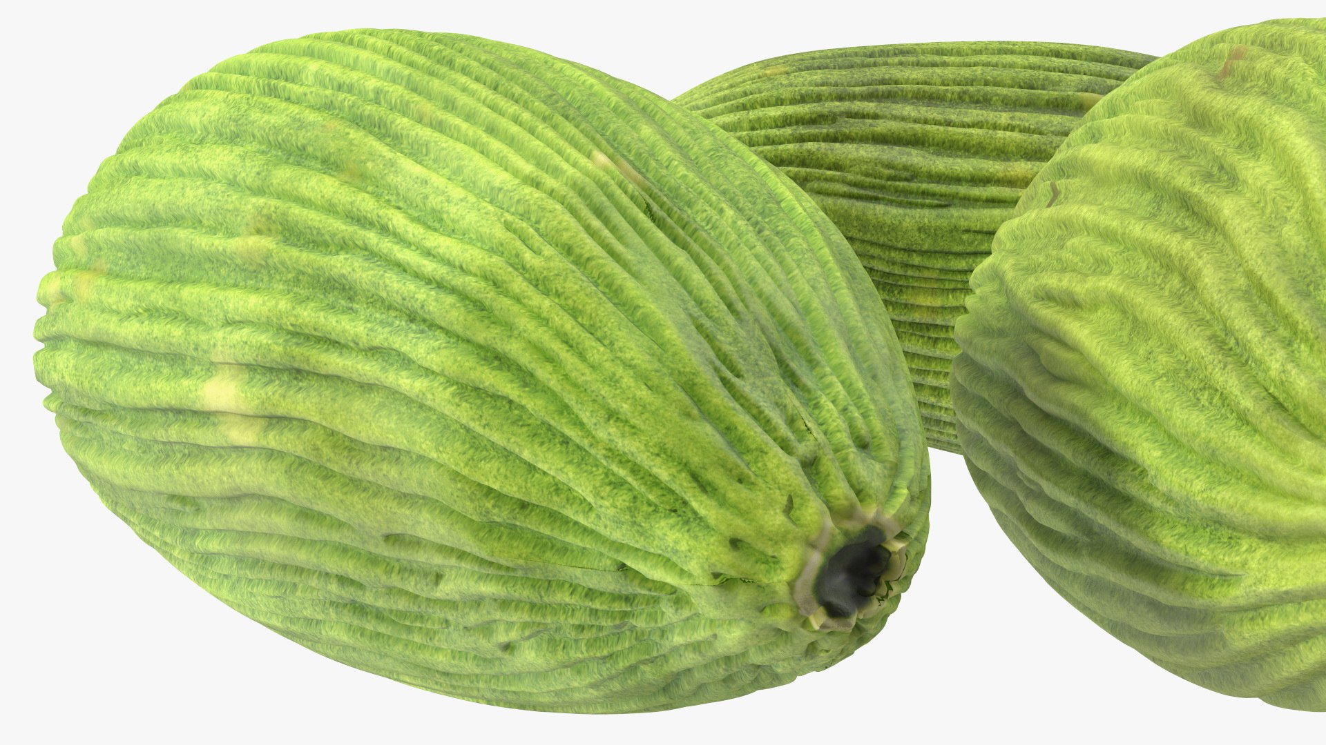 3D Seeds Collection 4 model https://p.turbosquid.com/ts-thumb/uH/l67tKN/5S/seeds_collection_4_009/jpg/1769081863/1920x1080/fit_q87/9fcefc39f126f286d233b457c754acdeee29f272/seeds_collection_4_009.jpg