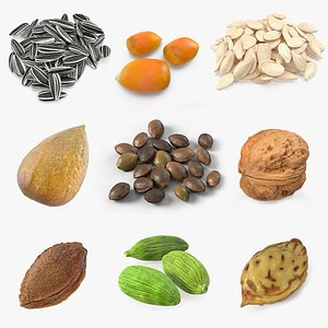 Seeds Collection 4
