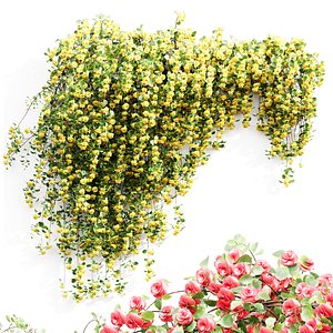 New Plant High detail Climbing Roses Wall Grow Top model