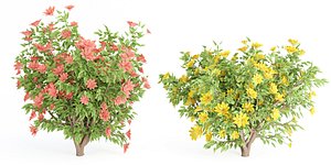 3D model collection flowering bush vol 8-Blender