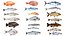 3D Big Fish Collection 20 in 1 model