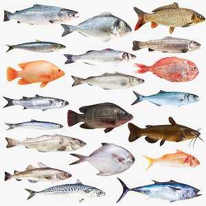 Big Fish Collection 20 in 1