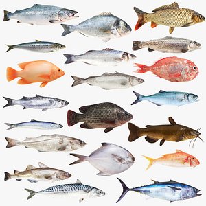Big Fish Collection 20 in 1