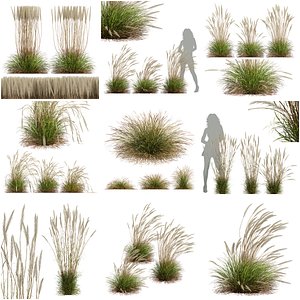 3D 6 Different SETS of Grass  SET VOL01