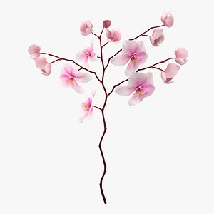 3d model pink branch orchid flowers