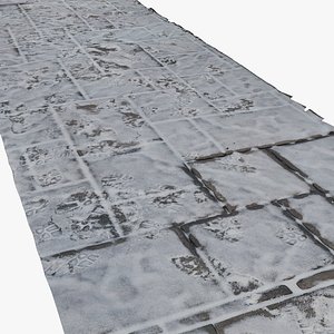 Snow Footprints PATHWAY Snowy