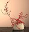 Mizuhiki Ikebana