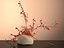 Mizuhiki Ikebana