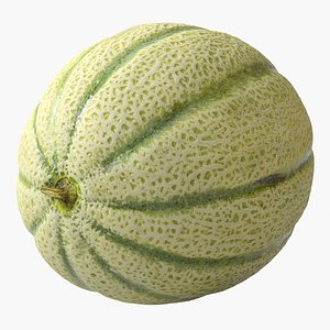 3D model Melon Cantaloupe