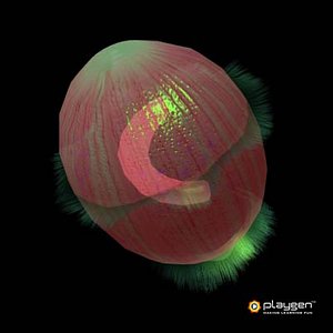 didinium bacteria 3d model