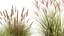 Reeds in a rusty Flowerpot for the interior 988