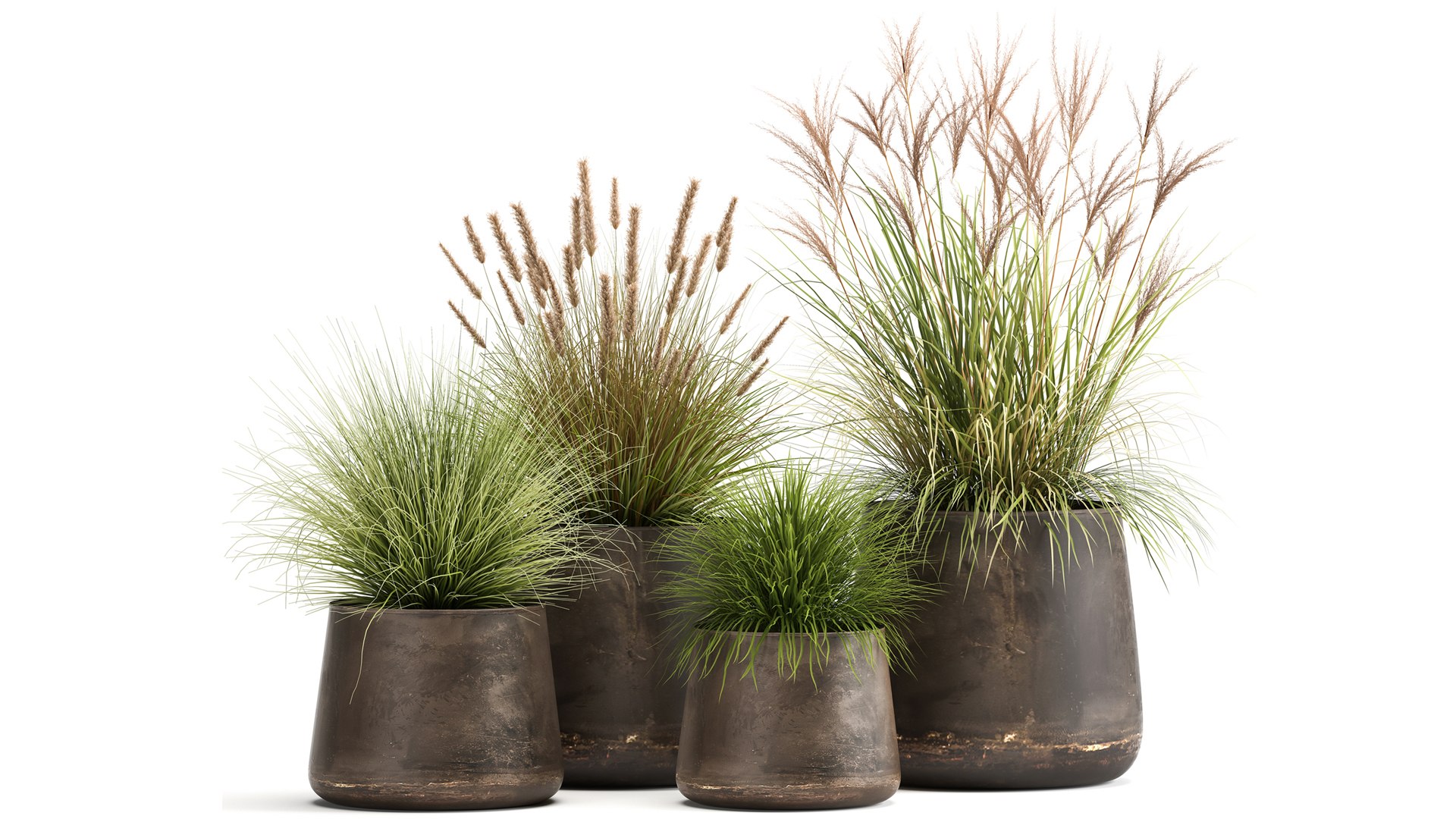 Reeds in a rusty Flowerpot for the interior 988 3D model https://p.turbosquid.com/ts-thumb/uI/V7PhOa/Ij/1reeds0806202101/jpg/1623237968/1920x1080/fit_q87/452501aed4927e6dda44509d3c4473e9240ee796/1reeds0806202101.jpg