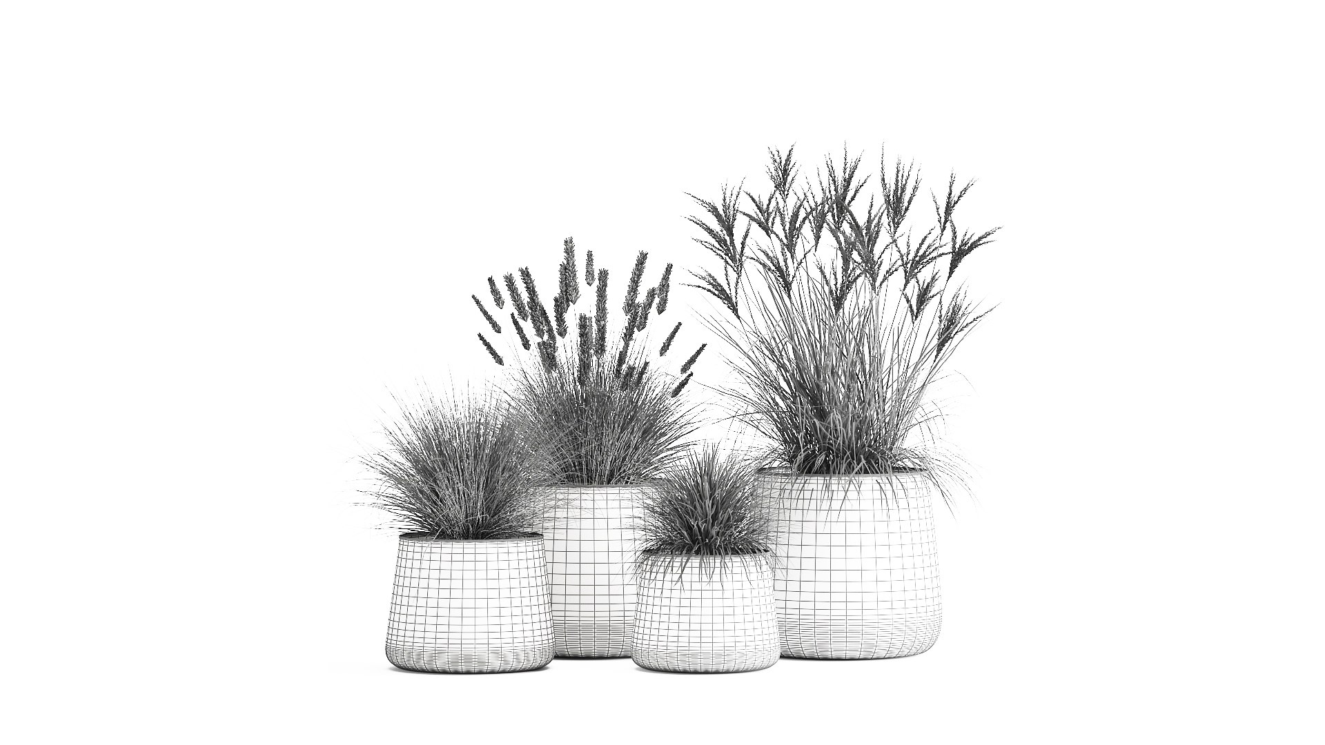 Reeds in a rusty Flowerpot for the interior 988 3D model https://p.turbosquid.com/ts-thumb/uI/V7PhOa/Tl/1reeds0806202109/jpg/1623237967/1920x1080/fit_q87/e229e0ca7b465a9567bf990e9affff0dc674add7/1reeds0806202109.jpg