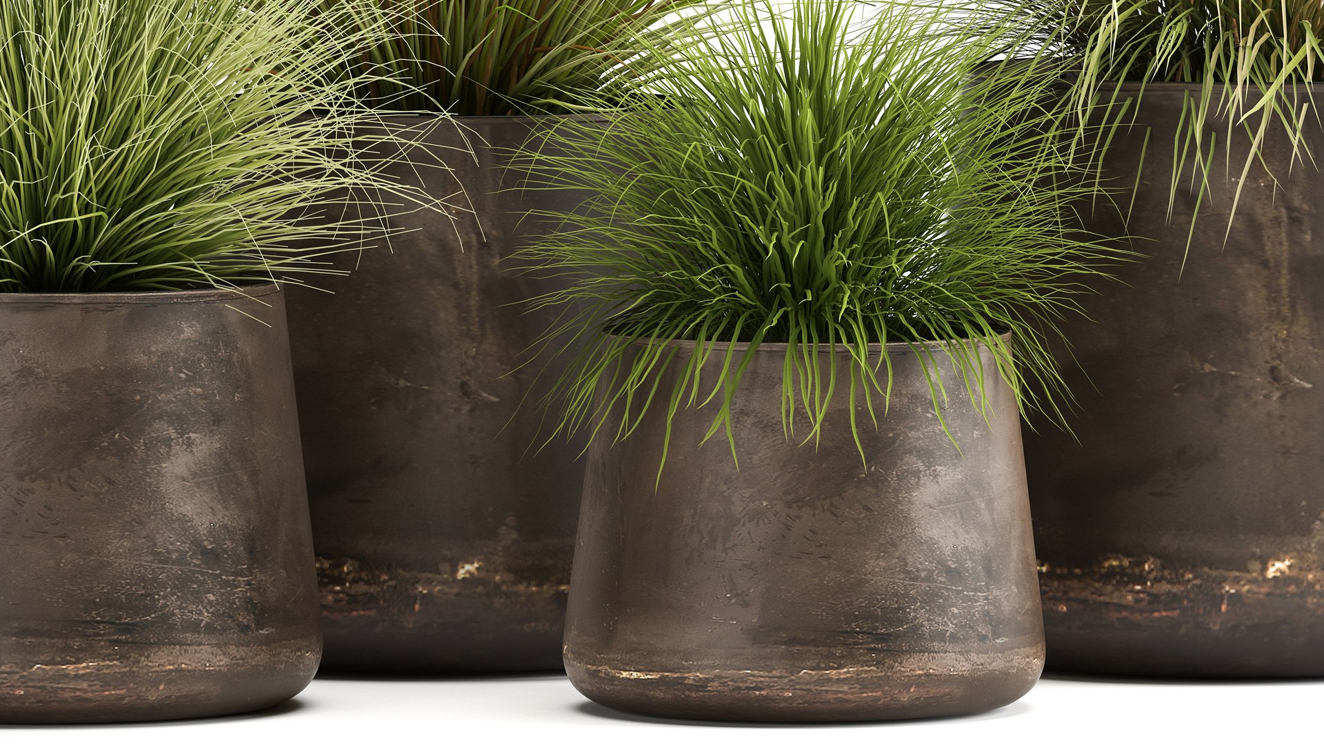 Reeds in a rusty Flowerpot for the interior 988 3D model https://p.turbosquid.com/ts-thumb/uI/V7PhOa/Yo/1reeds0806202104/jpg/1623237970/1920x1080/fit_q87/f183278f59b6b332a7e5579030c2d4513e2f5060/1reeds0806202104.jpg