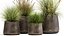 Reeds in a rusty Flowerpot for the interior 988