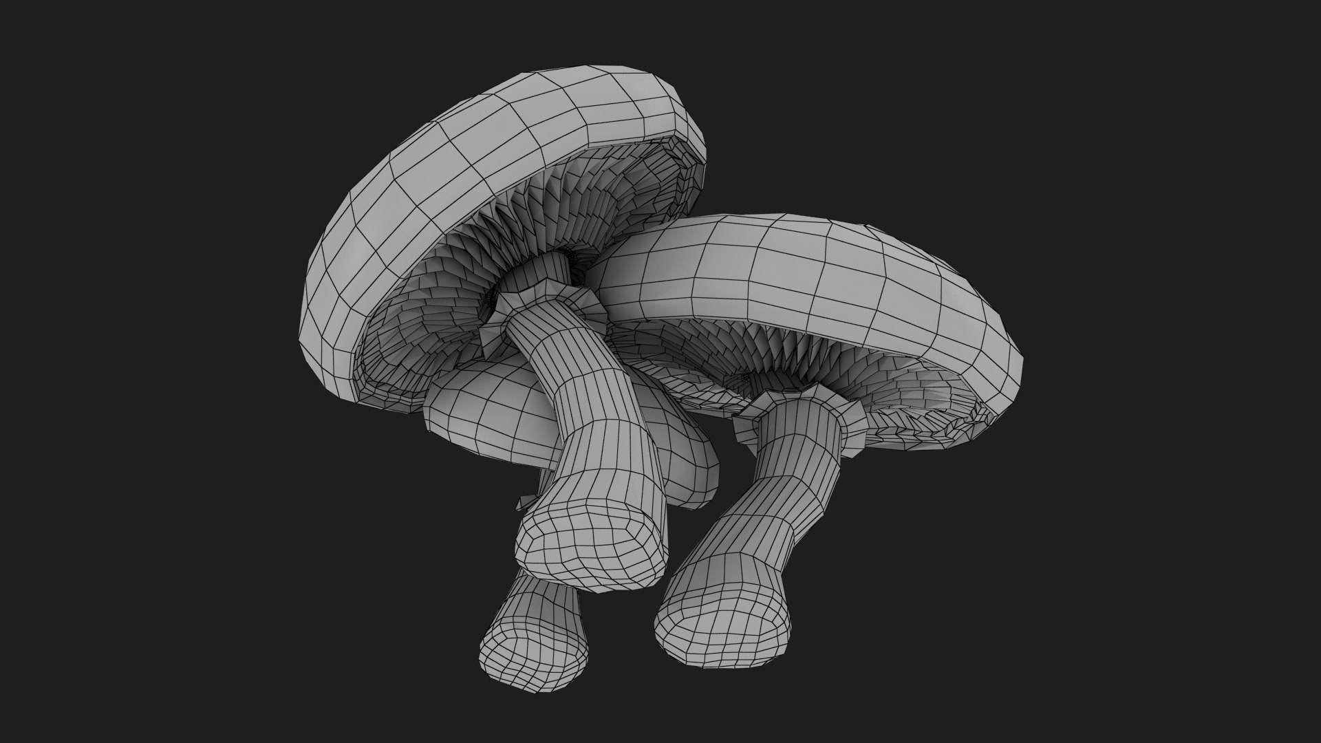 max portobello mushroom