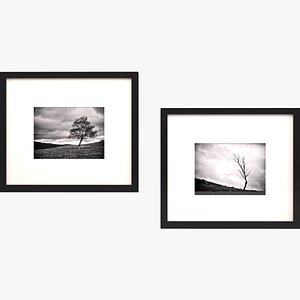 framed art black white 3ds