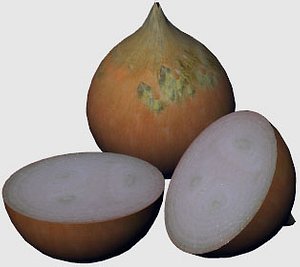 3d onion model
