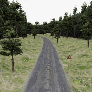 Road in forest, for game