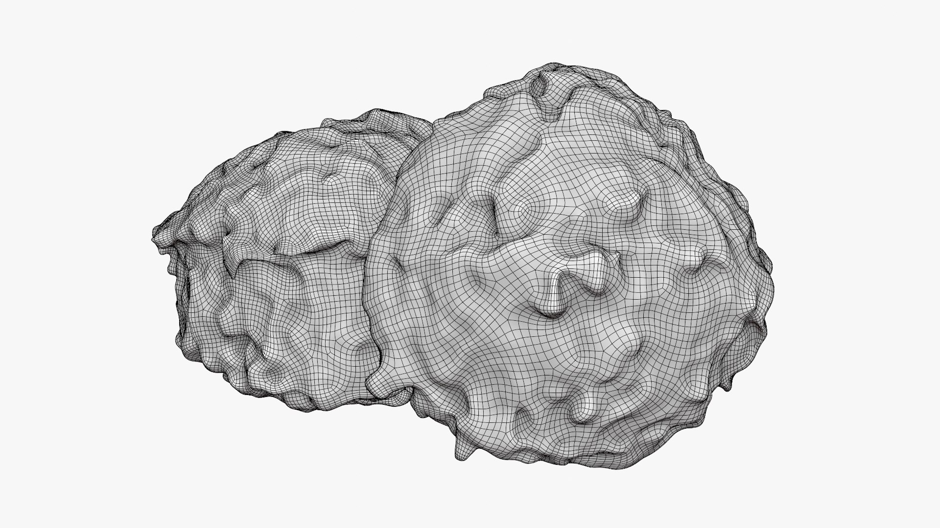 3D Falafel Ball with Half model https://p.turbosquid.com/ts-thumb/uJ/5pvP9j/pj/falafel02_d0005/png/1751313056/1920x1080/fit_q87/bac265cc462257b0f0d4afd4a692f97c3786233b/falafel02_d0005.jpg