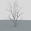 Bk003 Tree