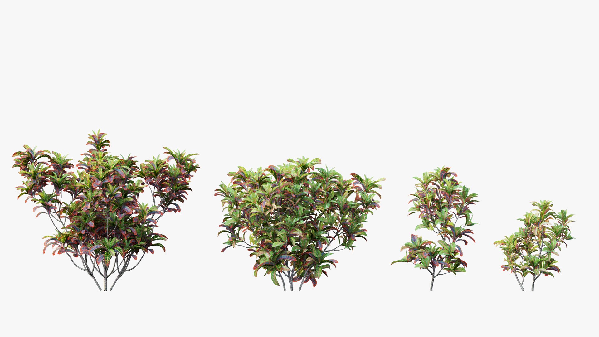 3D croton plant set 02 model https://p.turbosquid.com/ts-thumb/uJ/DEu1rE/iTbpb418/7/jpg/1603567325/1920x1080/fit_q87/3fc39dac0c8abf6a4ca50ba13d14e87156d49840/7.jpg