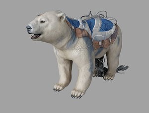 3D bear animation model