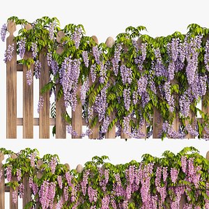 wisterial plant 20