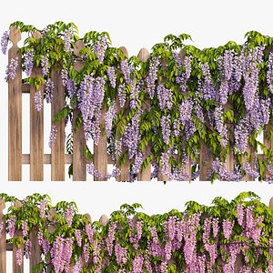 wisterial plant 20