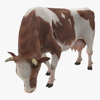 Holstein Cow Eating Pose with Fur 3D Model