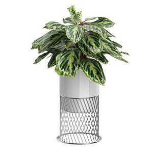 potted plants set 57 3D model
