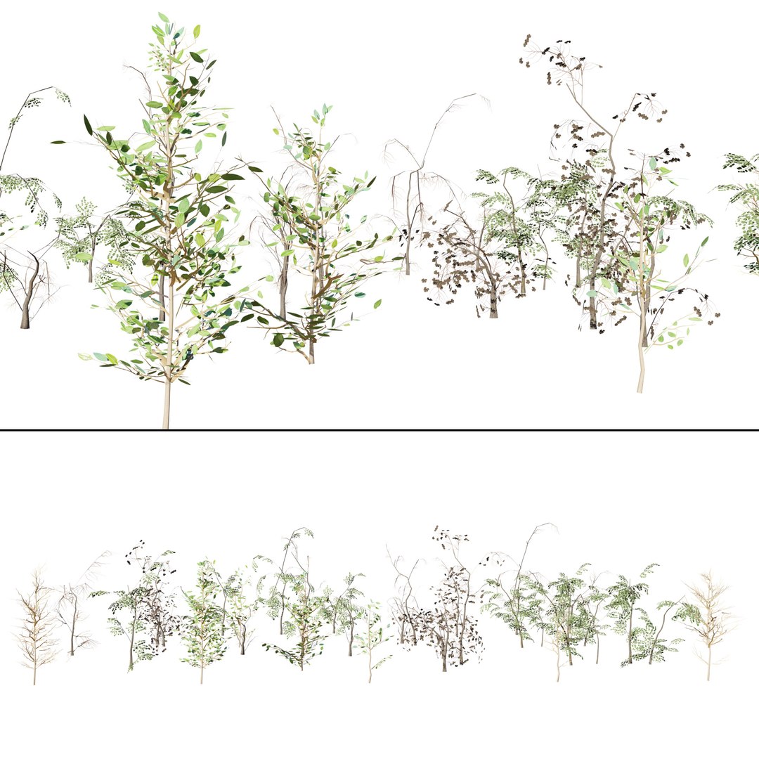 British Hemp-Agrimony and Wildflower 3D Asset Bundle 3D https://p.turbosquid.com/ts-thumb/uJ/Xme5DK/EM/gamereadylowpolyfoliagetrunks2/jpg/1777670036/1920x1080/fit_q87/2018ba6bb0048f236c0fc57ff49145ddd2b8c8f3/gamereadylowpolyfoliagetrunks2.jpg