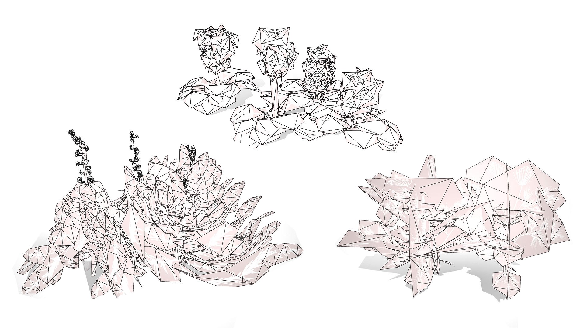 British Hemp-Agrimony and Wildflower 3D Asset Bundle 3D https://p.turbosquid.com/ts-thumb/uJ/Xme5DK/Rl/gamereadyfoliagepack6/jpg/1777670052/1920x1080/fit_q87/15bb390588a3d2932774e5a418f91dbad6ebe206/gamereadyfoliagepack6.jpg
