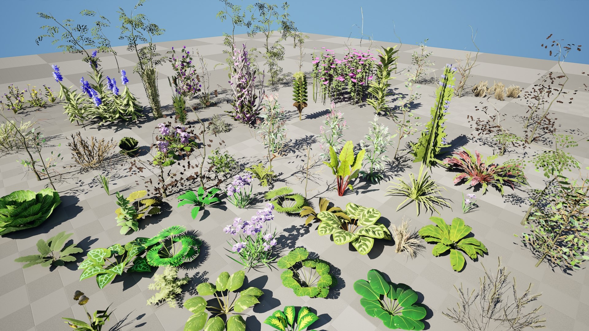 British Hemp-Agrimony and Wildflower 3D Asset Bundle 3D https://p.turbosquid.com/ts-thumb/uJ/Xme5DK/UN/04.0125/jpeg/1777669669/1920x1080/fit_q87/1a2a99afb3064db6bd0fe6d67e69ee571bb3a64d/04.0125.jpg