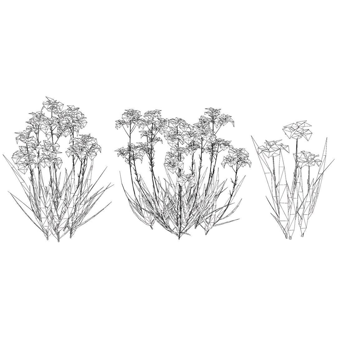 British Hemp-Agrimony and Wildflower 3D Asset Bundle 3D https://p.turbosquid.com/ts-thumb/uJ/Xme5DK/V1/irispallidafloweringplants6/jpg/1777670055/1920x1080/fit_q87/c29f938ffa5b161ce1d130fc00bc6c2616233760/irispallidafloweringplants6.jpg