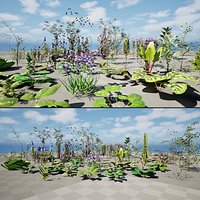British Hemp-Agrimony and Wildflower 3D Asset Bundle