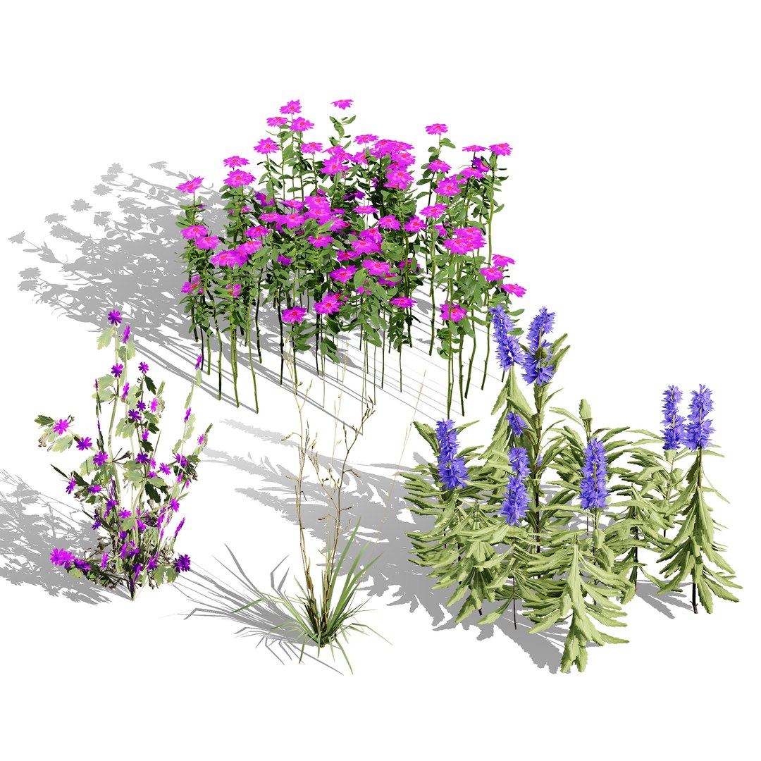 British Hemp-Agrimony and Wildflower 3D Asset Bundle 3D https://p.turbosquid.com/ts-thumb/uJ/Xme5DK/e5/gamereadywildflowerfoliage2/jpg/1777670031/1920x1080/fit_q87/1afe2e9199e06075c31b5b4fad638dde12bd0dde/gamereadywildflowerfoliage2.jpg