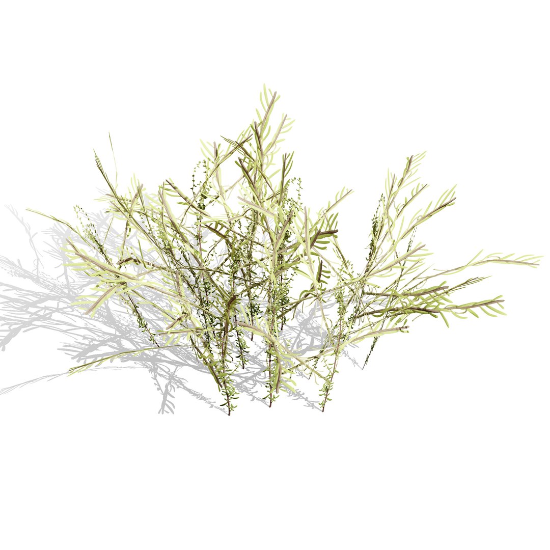 British Hemp-Agrimony and Wildflower 3D Asset Bundle 3D https://p.turbosquid.com/ts-thumb/uJ/Xme5DK/of/lowpolyarabiandesertshrubs3/jpg/1777670046/1920x1080/fit_q87/76a3f18651a4082e139c63c69bf098c4dddaf960/lowpolyarabiandesertshrubs3.jpg