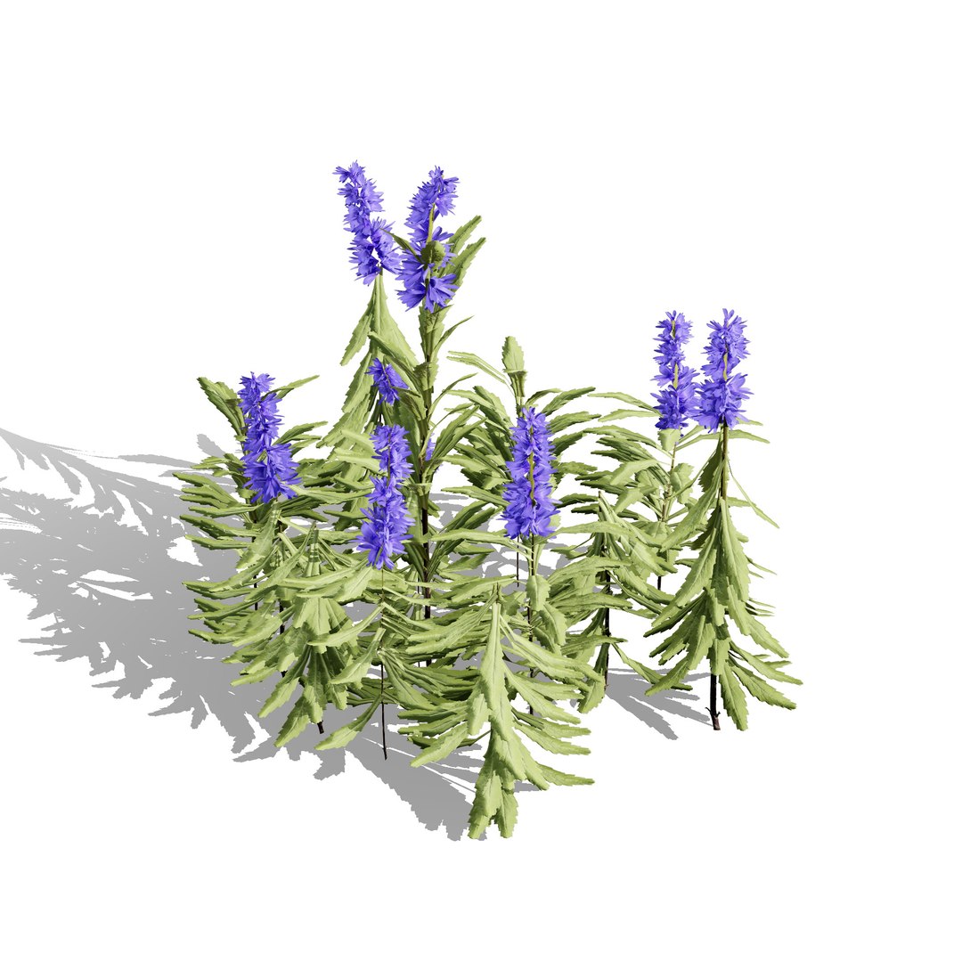 British Hemp-Agrimony and Wildflower 3D Asset Bundle 3D https://p.turbosquid.com/ts-thumb/uJ/Xme5DK/tT/gamereadywildflowerfoliage3/jpg/1777670032/1920x1080/fit_q87/ff0fc3498496657e3b70862062cabede847ac445/gamereadywildflowerfoliage3.jpg