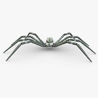 Spider Bot
