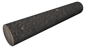 3D log model