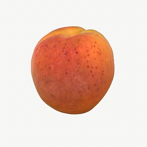 06 hy apricot fruit 3D model