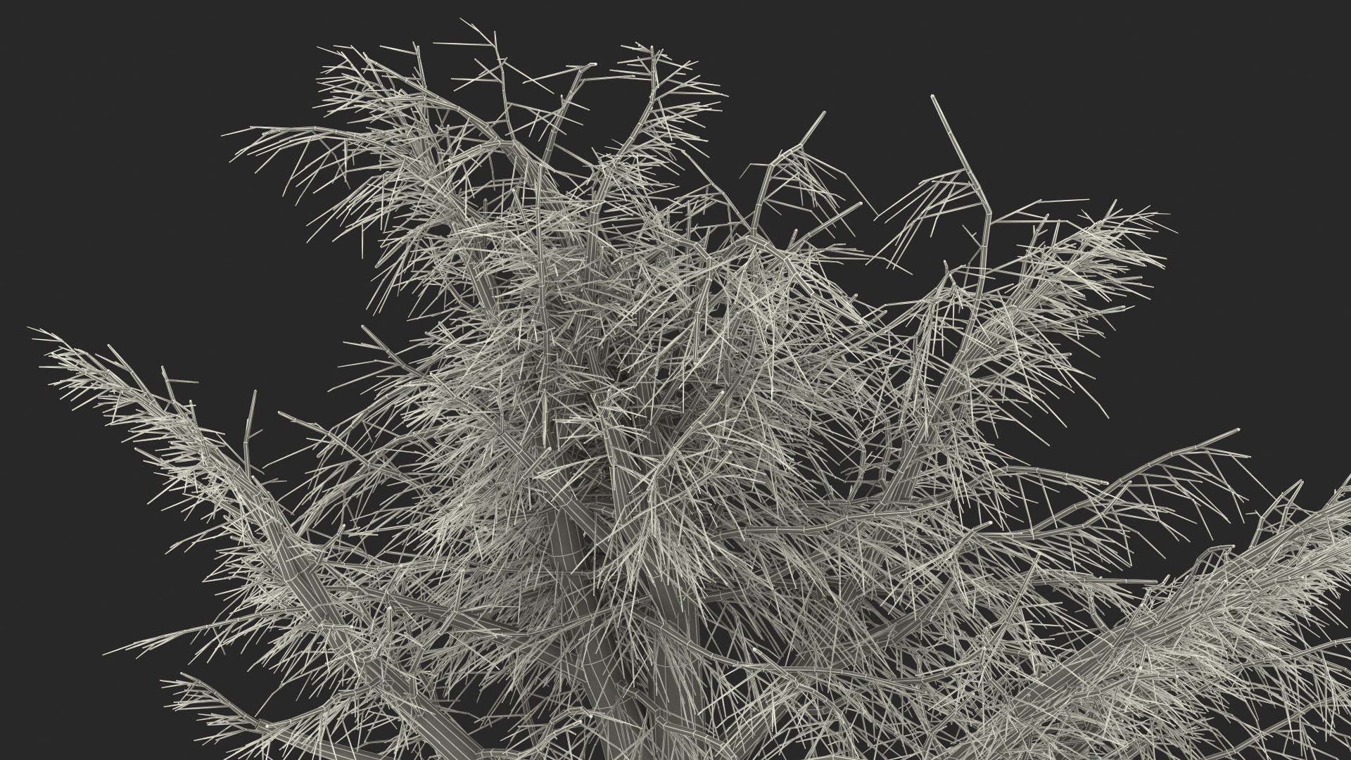 3D Cedrus Libani Trunk https://p.turbosquid.com/ts-thumb/uJ/hLHtr4/2W/cedruslibanitrunkc4dmodel029/jpg/1631686732/1920x1080/fit_q87/757fec52ffece54b7d5cda67ab9ca2dc474dfd68/cedruslibanitrunkc4dmodel029.jpg