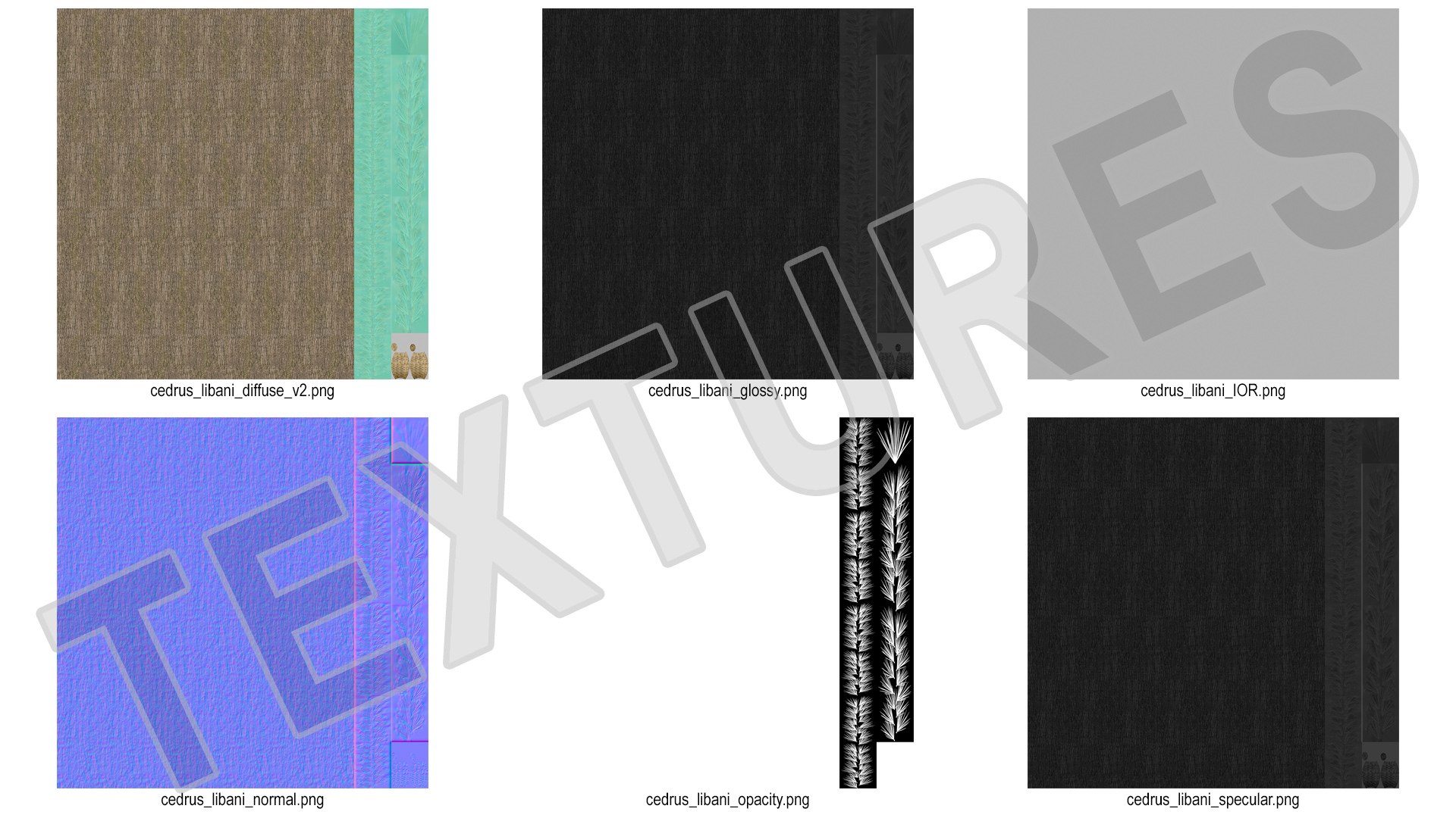 3D Cedrus Libani Trunk https://p.turbosquid.com/ts-thumb/uJ/hLHtr4/2x/cedruslibanitrunkc4dmodel020/jpg/1631686698/1920x1080/fit_q87/6af1a92759a81a59a175c572a75b27af436f0267/cedruslibanitrunkc4dmodel020.jpg