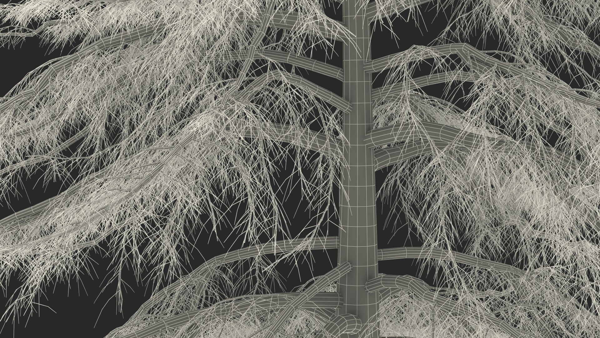 3D Cedrus Libani Trunk https://p.turbosquid.com/ts-thumb/uJ/hLHtr4/T6/cedruslibanitrunkc4dmodel028/jpg/1631686726/1920x1080/fit_q87/e5d1a33bb26d6953591e4a7b42340929724fbf7a/cedruslibanitrunkc4dmodel028.jpg