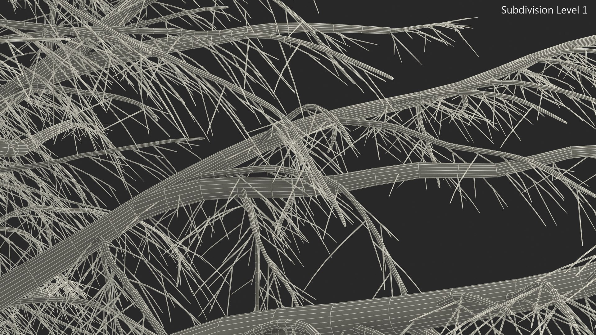 3D Cedrus Libani Trunk https://p.turbosquid.com/ts-thumb/uJ/hLHtr4/c2/cedruslibanitrunkc4dmodel018/jpg/1631686692/1920x1080/fit_q87/2bd530526a588975873c06b98f8cccd6dc0f633c/cedruslibanitrunkc4dmodel018.jpg