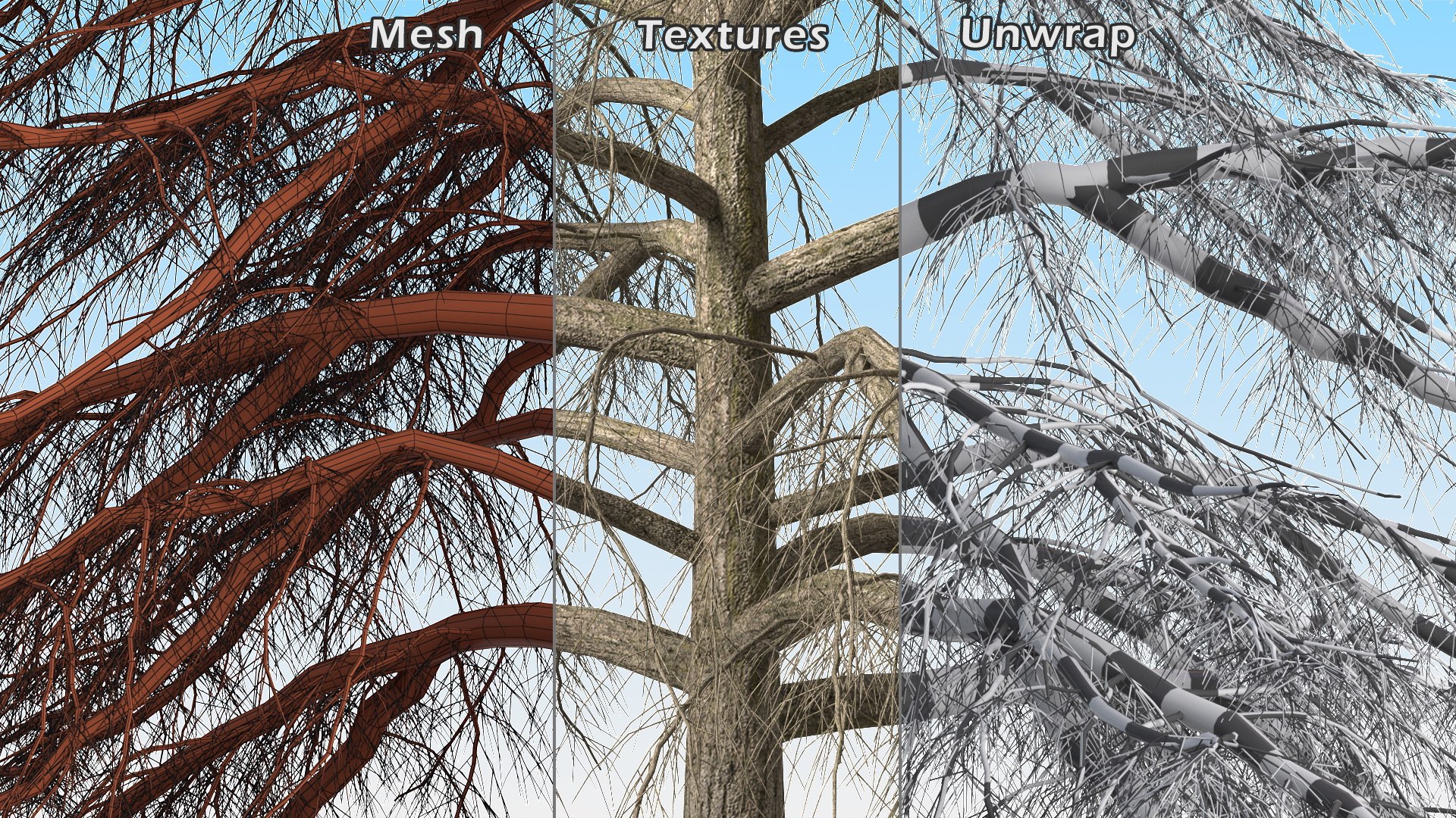 3D Cedrus Libani Trunk https://p.turbosquid.com/ts-thumb/uJ/hLHtr4/r8/cedruslibanitrunkc4dmodel016/jpg/1631686686/1920x1080/fit_q87/2b699e20795f743ac5a647fbedcb0877a3e3f98a/cedruslibanitrunkc4dmodel016.jpg